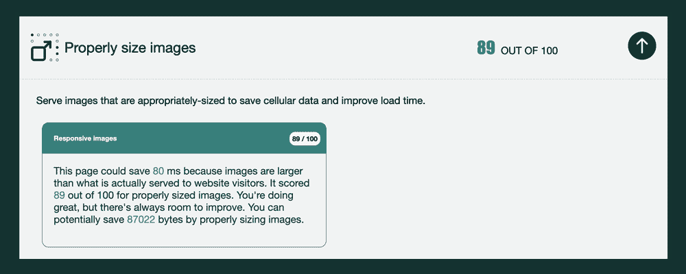 Image from Ecograder showing a score for properly sizing images. A text box gives guidance for how to improve the score.